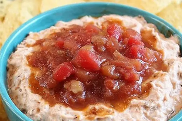 Chunky Salsa Chicken Dip