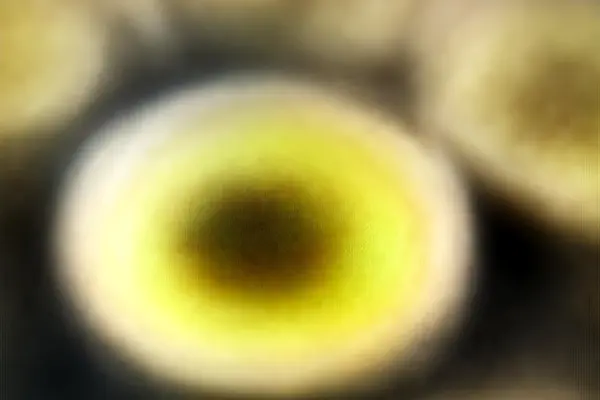 Caramel Pecan Cinnamon Rolls