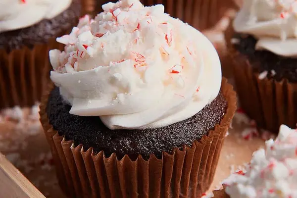 Frozen Chocolate Bites