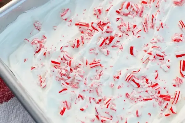 Raspberry Yogurt Sherbet