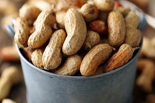 Fig Prosciutto Baguette