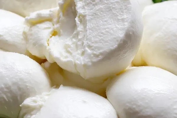 Quick Homemade Mozzarella