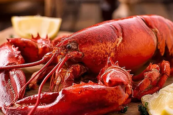 Snow Crab Legs Guide